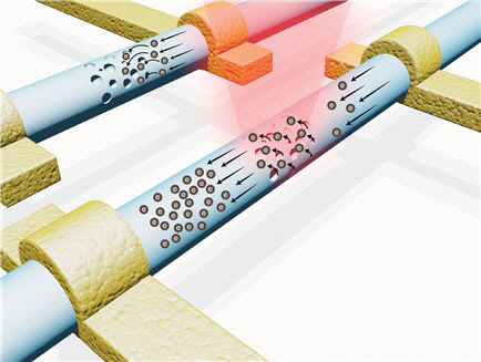 박홍규 고려대 교수팀이 개발한 빛으로 구동하는 실리콘 나노선 트랜지스터 모식도.    과기정통부 제공